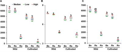 Features of Bacterial Microbiota in the Wild Habitat of Pulsatilla tongkangensis, the Endangered “Long-Sepal Donggang Pasque-Flower Plant,” Endemic to Karst Topography of Korea